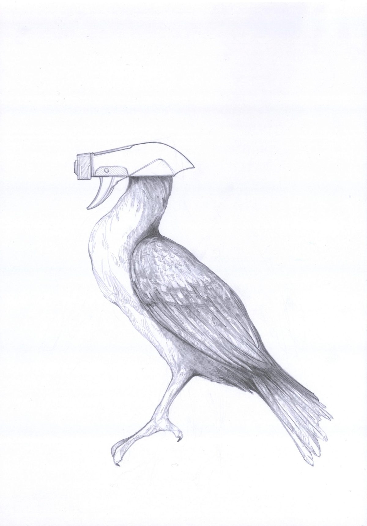 Spreiher