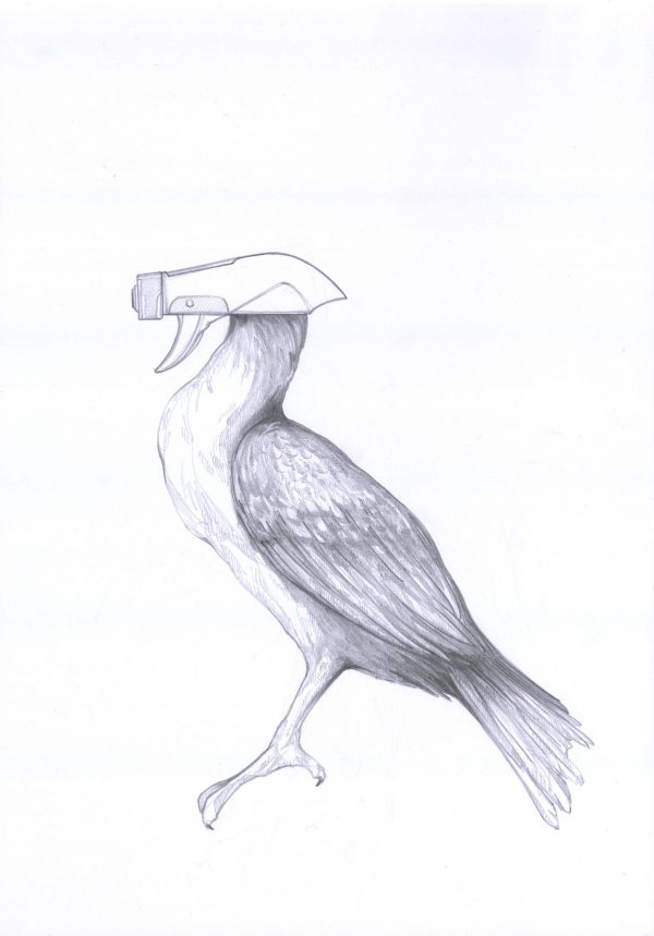Spreiher