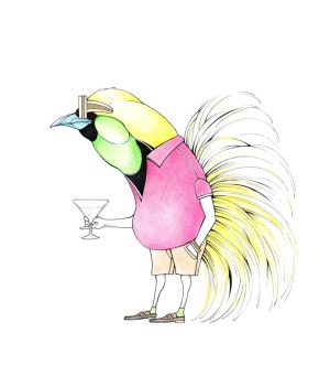 Steuerparadiesvogel