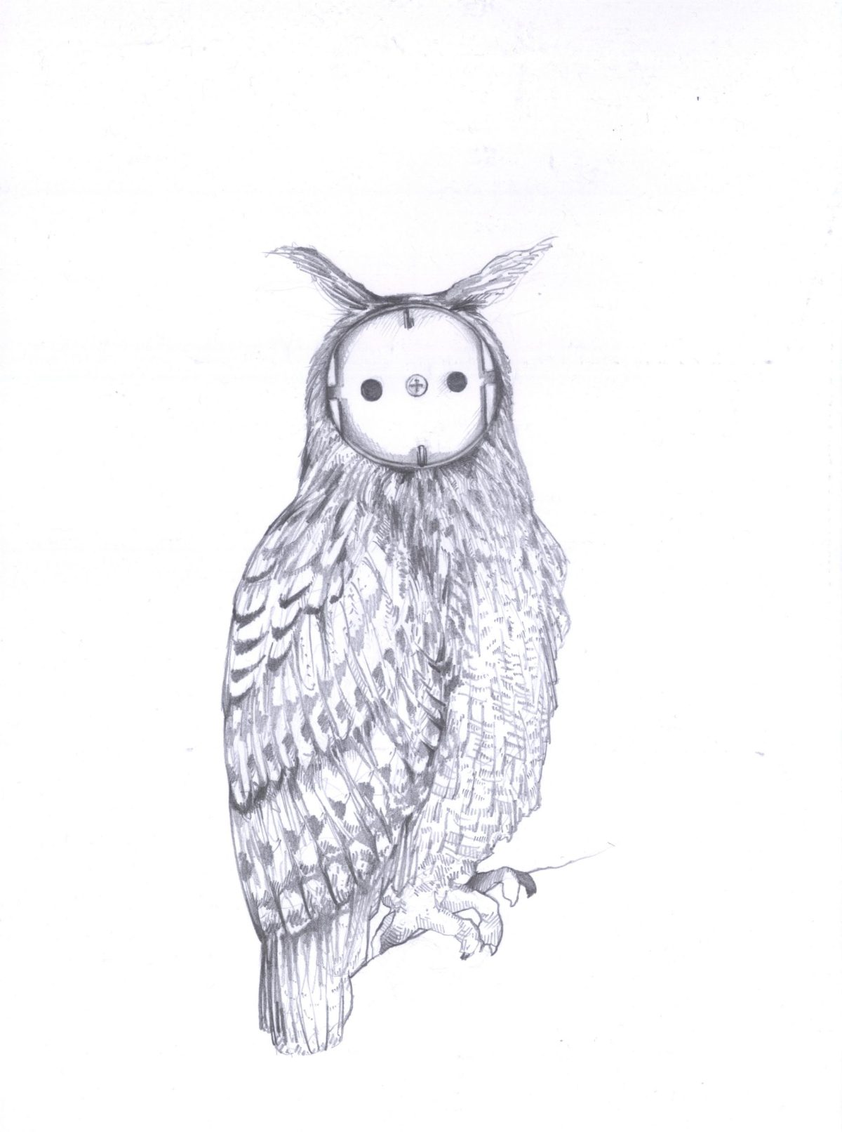 Streule