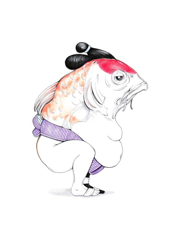 Sumō Koi