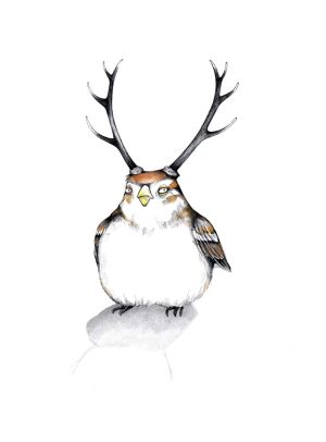 Vogelwild