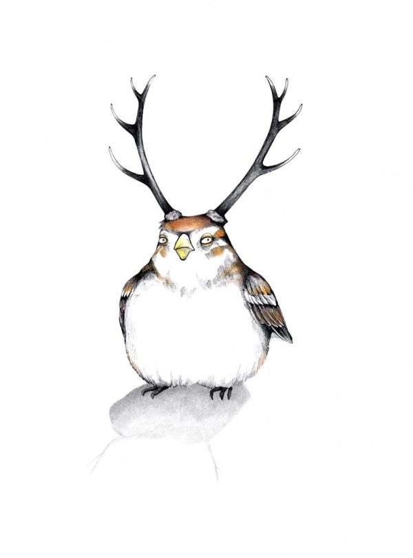 Vogelwild
