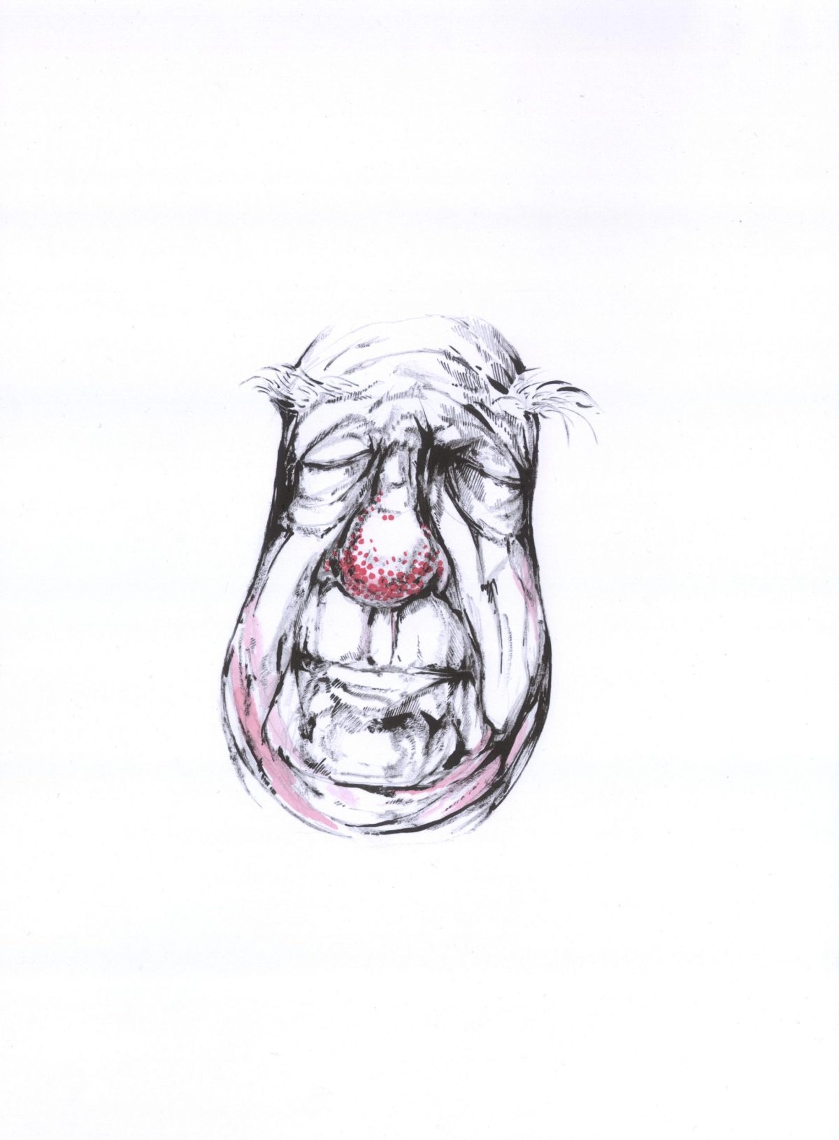 Weinbrandpflaume