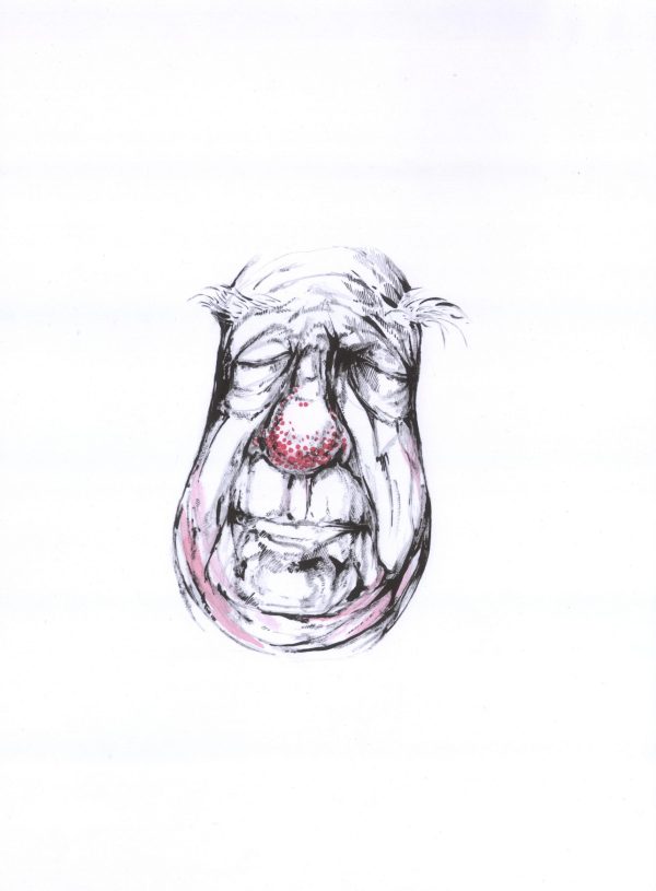 Weinbrandpflaume