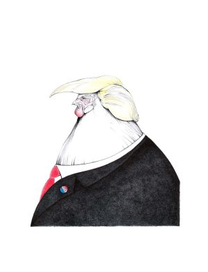 Why not vote a real cock?