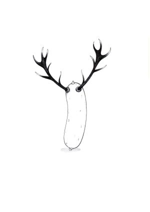 Wildwurst