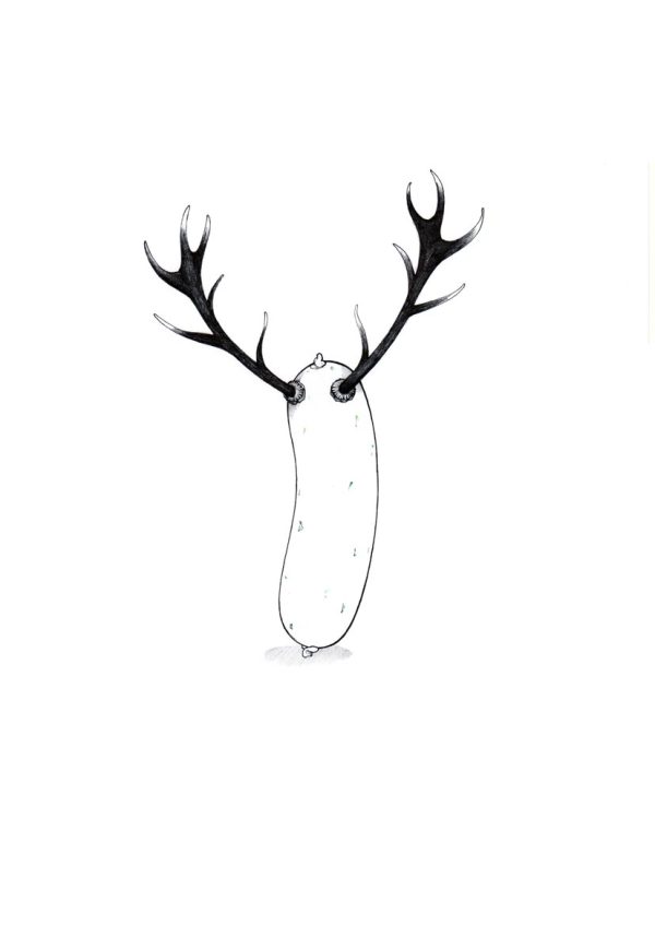 Wildwurst