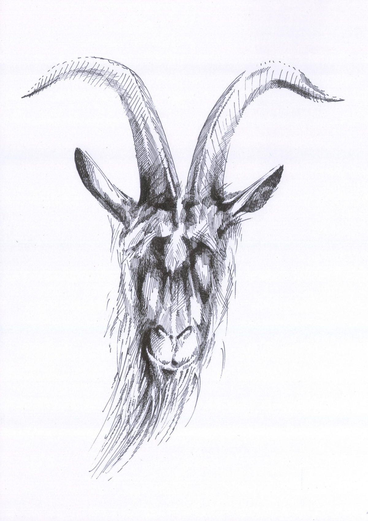 Ziege