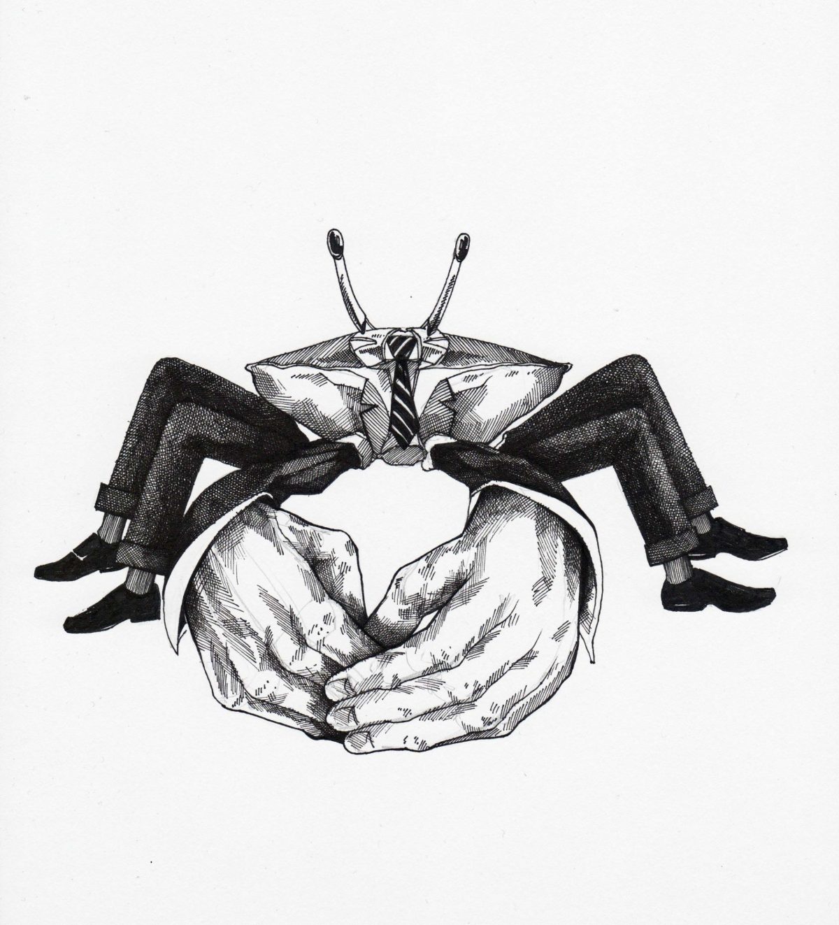 Zinkerkrabbe