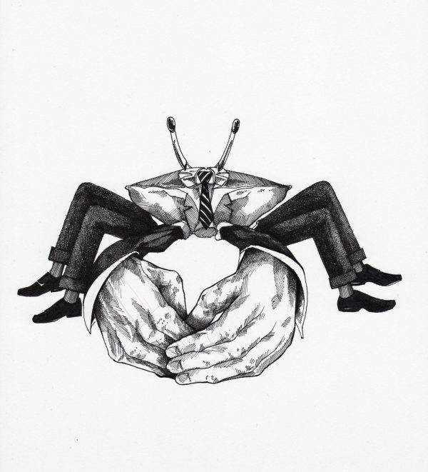 Zinkerkrabbe