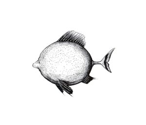 Zitronenfisch