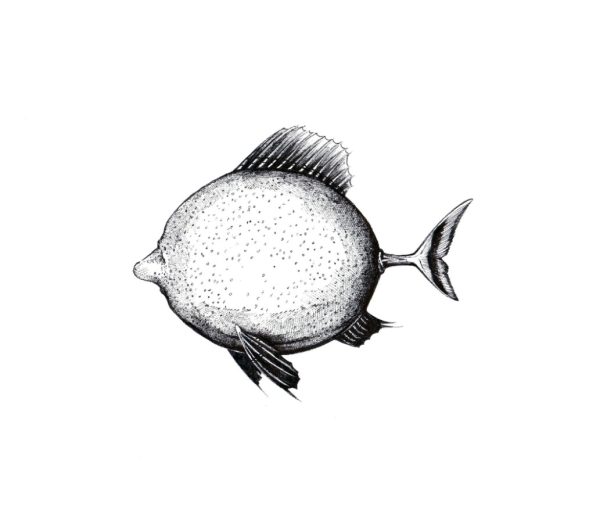 Zitronenfisch
