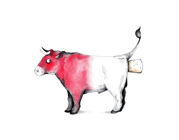 Bœuf bourguignon
