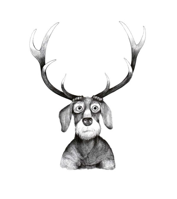 König des Waldes