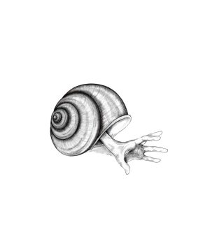 eingeschneckt