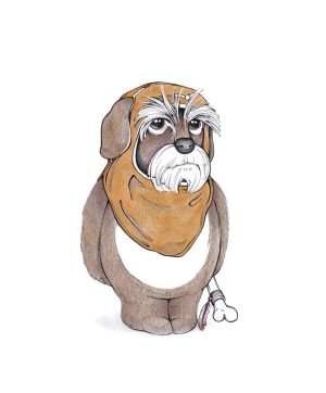 Rauhaar-Ewok