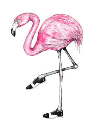 Exzentrischer Vogel