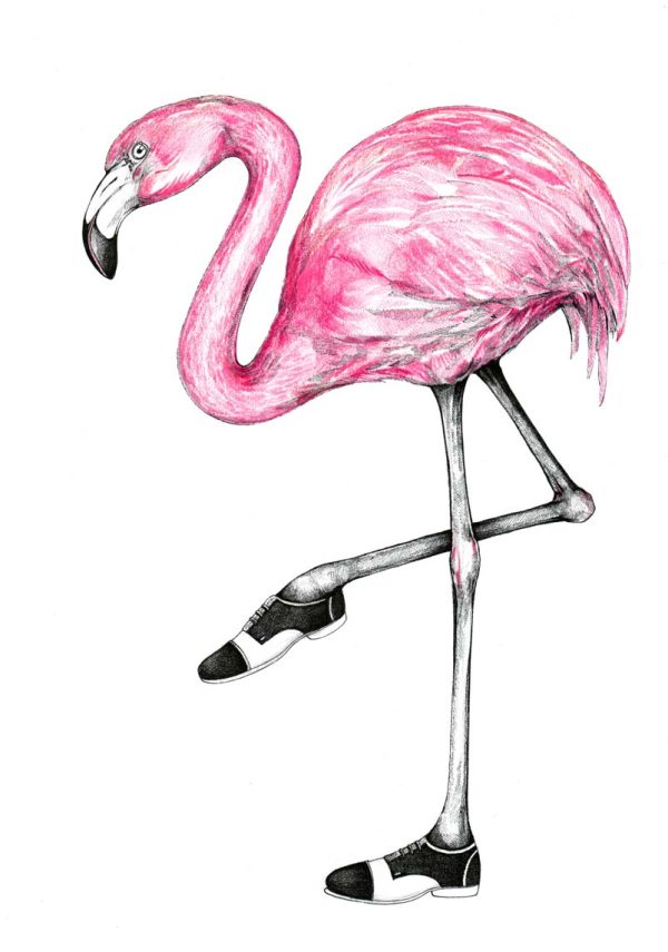 Exzentrischer Vogel