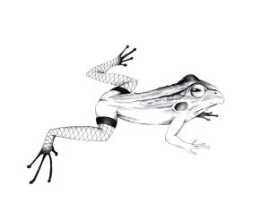 Reizfrosch