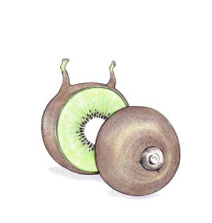 Kiwi Kill