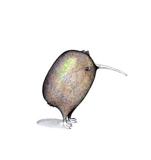 Kiwi