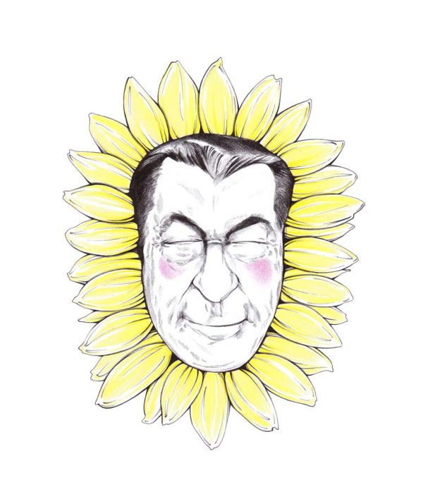 Sonnenblunze