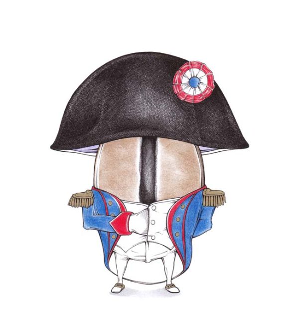 Napoleon Bohnaparte