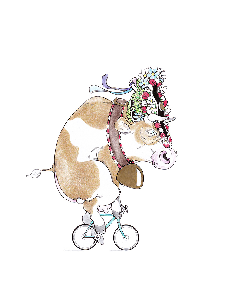 Zeichnung einer für den Almabtrieb prachtvoll herausgeputzten Kuh. Das Tier sitzt auf einem kleinen Fahrrad und rast dem Tal entgegen. Illustration "Almabfahrt" von Julian Opitz.