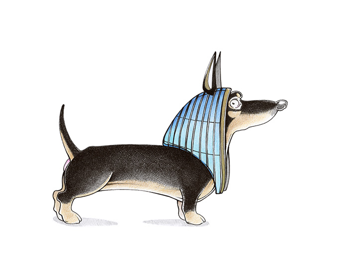 Ein schwarzer Kurzhaar-Dackel mit dem blau-goldenen Kopfschmuck des ägyptischen Totengottes Anubis. Illustration "Anubis" von Julian Opitz.