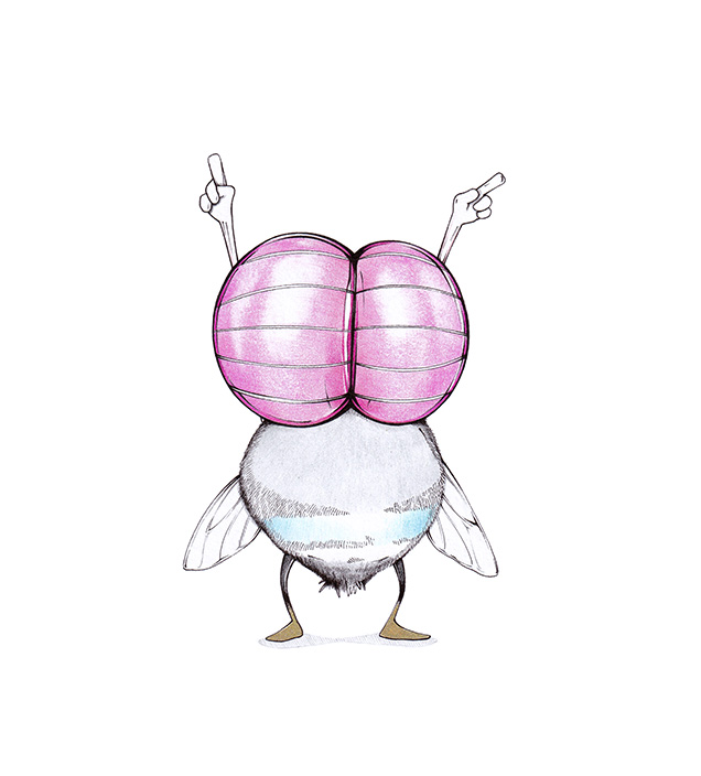 Eine kleine Scheißhausfliege in Feststimmung. Sie reckt die Ärmchen triumphierend in den Himmel. Illustration "Shitshows Everywhere" von Julian Opitz.
