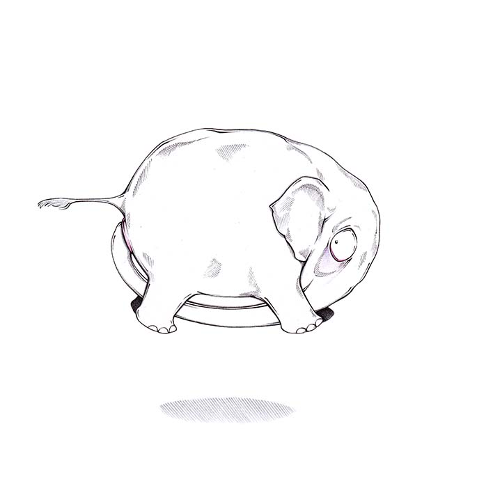 Ein Elefant schwebt in der Luft. Sein Rüssel steckt im eigenen Hintern. Er pustet Luft in sich hinein wie in einen Ballon. Illustration "Autonomes Fliegen" von Julian Opitz.