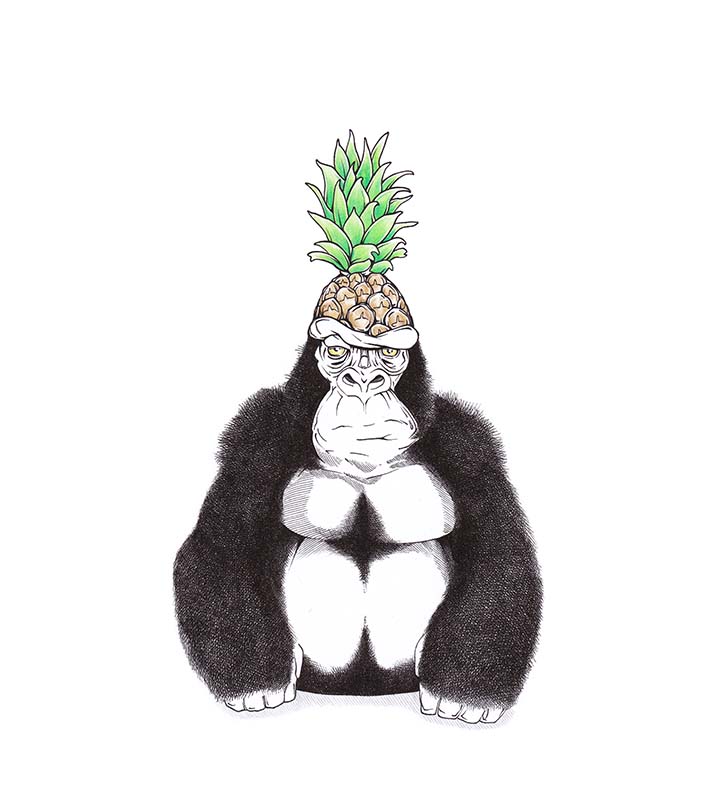 Gorilla mit Ananas-Frisur: Bad Hair Day