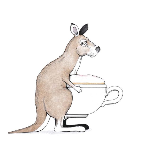 Beutelkaffee - Känguru mit Cappuccino im Beutel