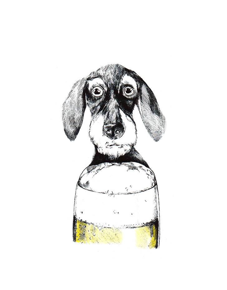 Ein Dackel sitzt mit großen Augen vor einem randvollen Glas Bier. Illustration "Bierdackel" von Julian Opitz.