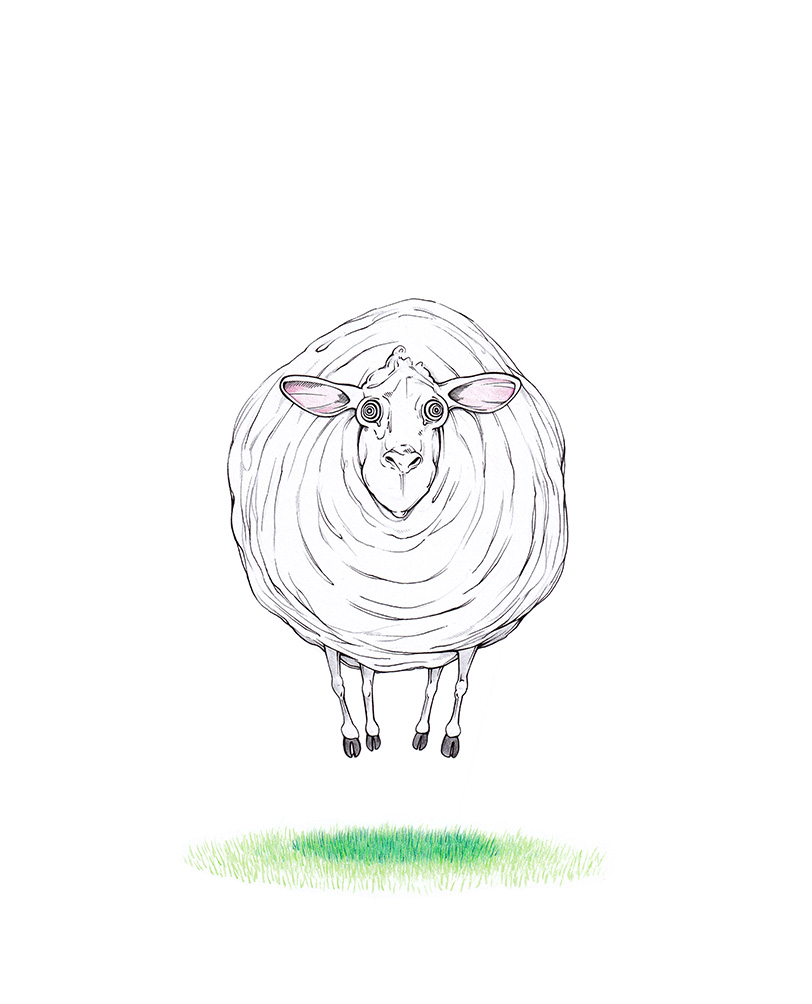 Zeichnung eines über einer grünen Wiese schwebenden weißen Schafes mit hypnotisierenden Augen. Illustration "I've Had a Dream" von Julian Opitz.