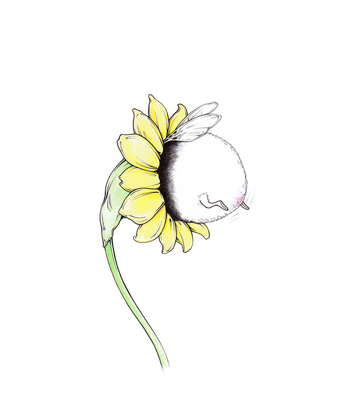 Frühlingsgefühle: Eine dicke Hummel presst ihren runden Körper Hals über Kopf in eine etwas überrumpelte gelbe Blume. Illustration von Julian Opitz.