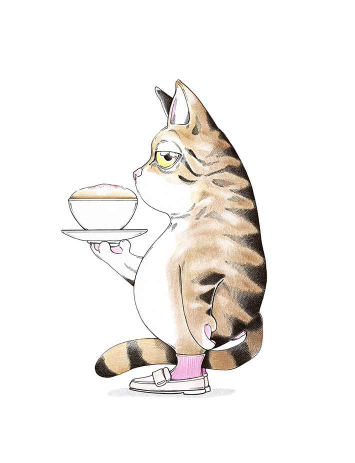 Gatto Cappuccino