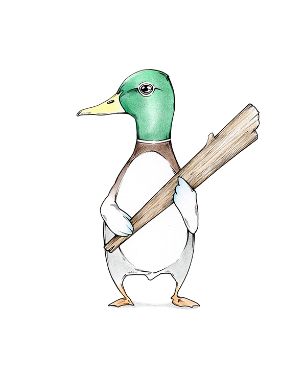 Zeichnung einer männlichen Stockente mit leuchtend grünem Kopf. Der Vogel steht auf den Hinterbeinen und hält einen großen Holzknüppel in den Händen. Illustration "Gemeine Stockente" von Julian Opitz.