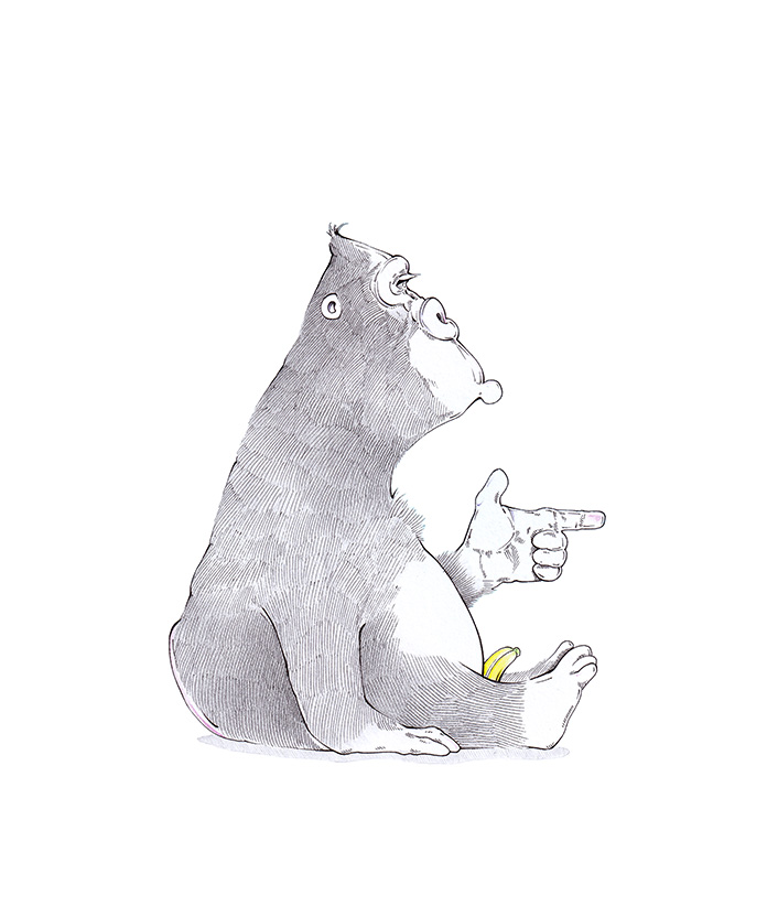 Zeichnung eines korpulenten Gorillas. Er formt seine Hand zur Pistole. Zwischen seinen Beinen spitzt eine Banane hervor. Illustration "Banana Big Shot" von Julian Opitz.