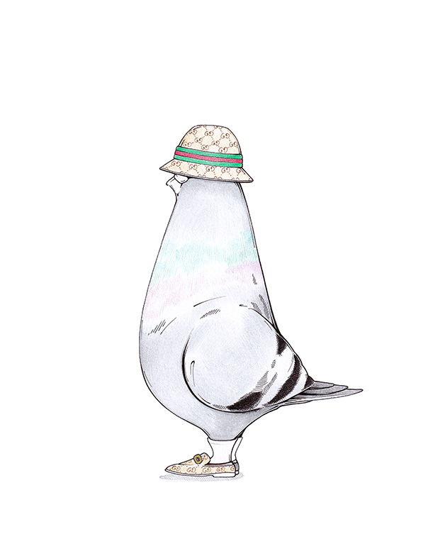 Zeichnung einer Taube mit Gucci Hut und Gucci Loafers. Illustration "Piccione Gucci" von Julian Opitz.
