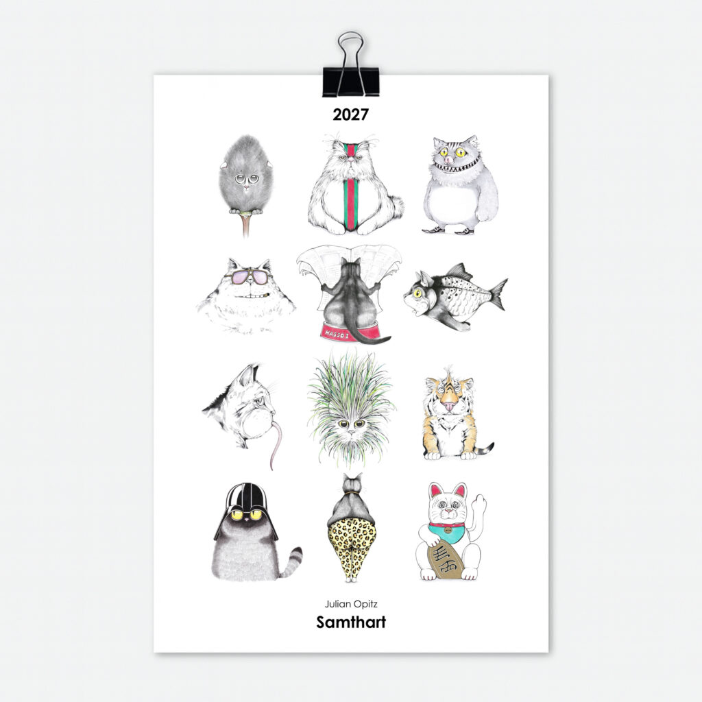Katzen Kalender 2027 Titelseite mit 12 witzigen Katzen Illustrationen