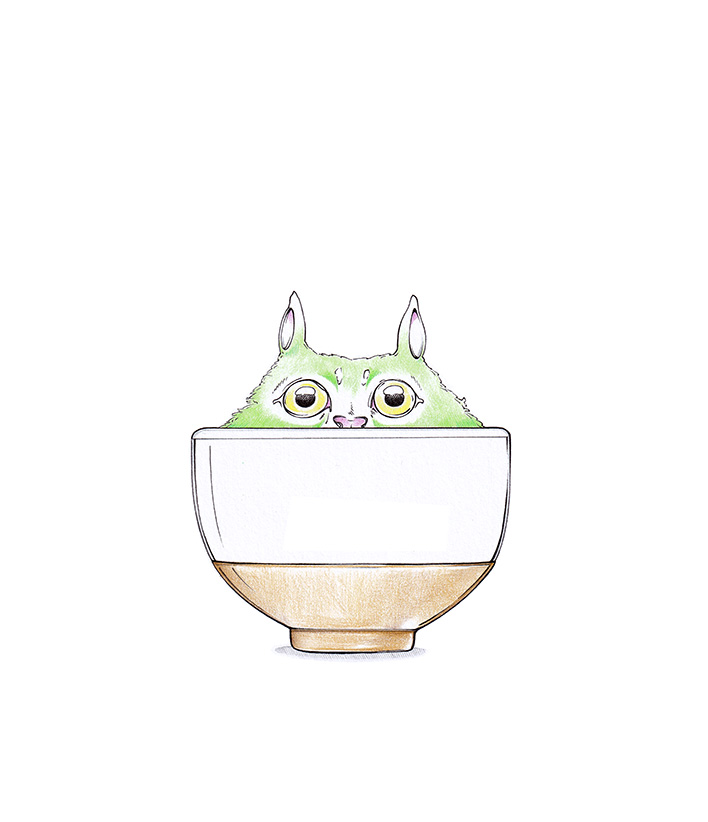 Illustration einer grünen Katzen-Kreatur. Das Tier sitzt in einer Schale mit japanischem Matcha Tee. Zeichnung "Matcha Kitten" von Julian Opitz.