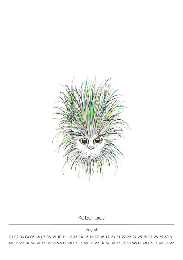 Katzen-Kalender 2026 "Samthart" – Bild 3