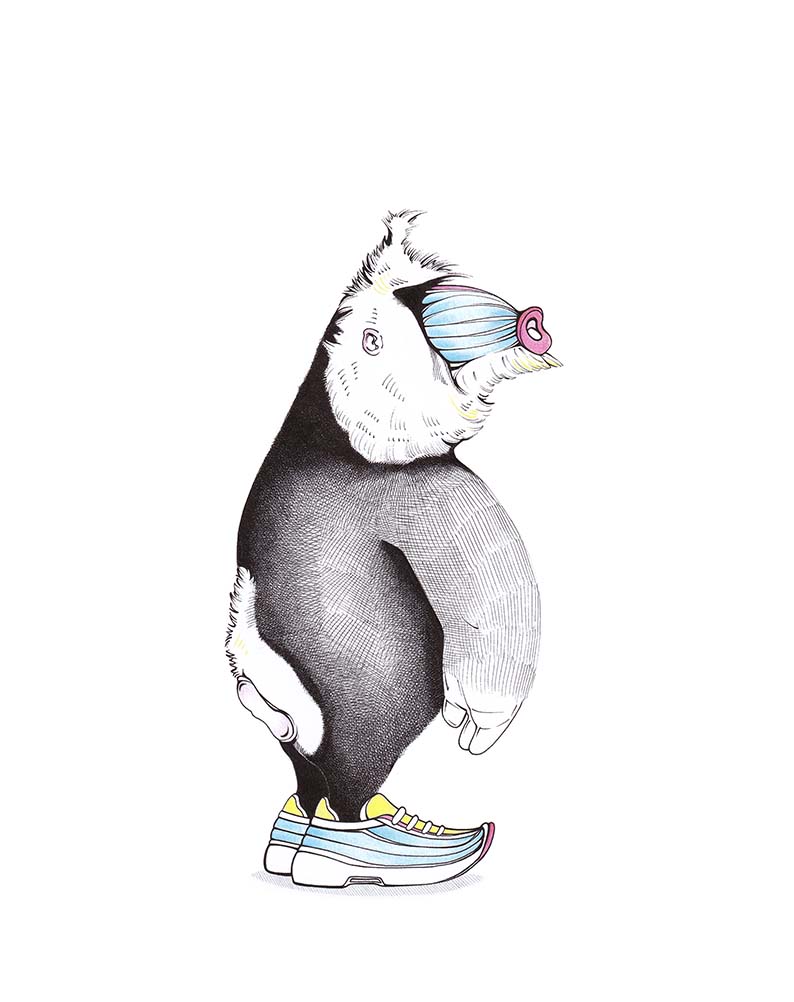 Zeichnung eines Mandrill mit bunter Schnauze. Der Affe steht auf den Hinterbeinen. Seine Füße stecken in großen Turnschuhen, die an seine Schnauze erinnern. Illustration "Starkes Profil" von Julian Opitz.