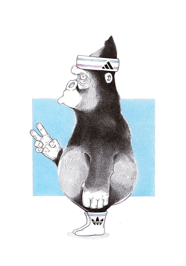 Zeichnung eines Gorillas mit Adidas-Stirnband und Adidas-Socken. Der Affe formt mit der Hand das Victory-Zeichen. Illustration "Adidas Gesocks" von Julian Opitz.