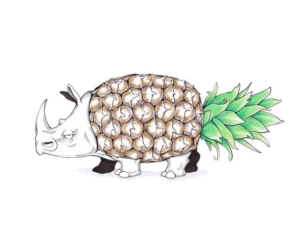 Ananas Nashorn