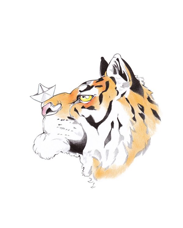 Illustration "Papiertiger" von Julian Opitz. Zeichnung eines bedrohlich dreinblickenden Tigerkopfes im Profil. Auf der Schnauze der Raubkaste steht ein wackeres Papierschiffchen.