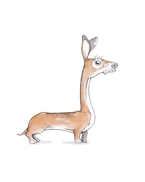 Eine Mischung aus Reh und Rauhaardackel – Illustration "Rehhaardackel" von Julian Opitz.