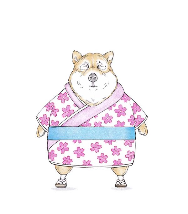 Shiba Inu Hund im Kimono